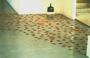 Carpet - Red Earth, Plastic Dustpan, Plinth - 1997